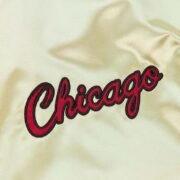 Lightweight Satin Jacket Vintage Logo Chicago Bulls Team OG 2.0 - immagine 3