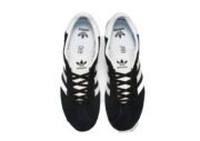 Gazelle - immagine 3