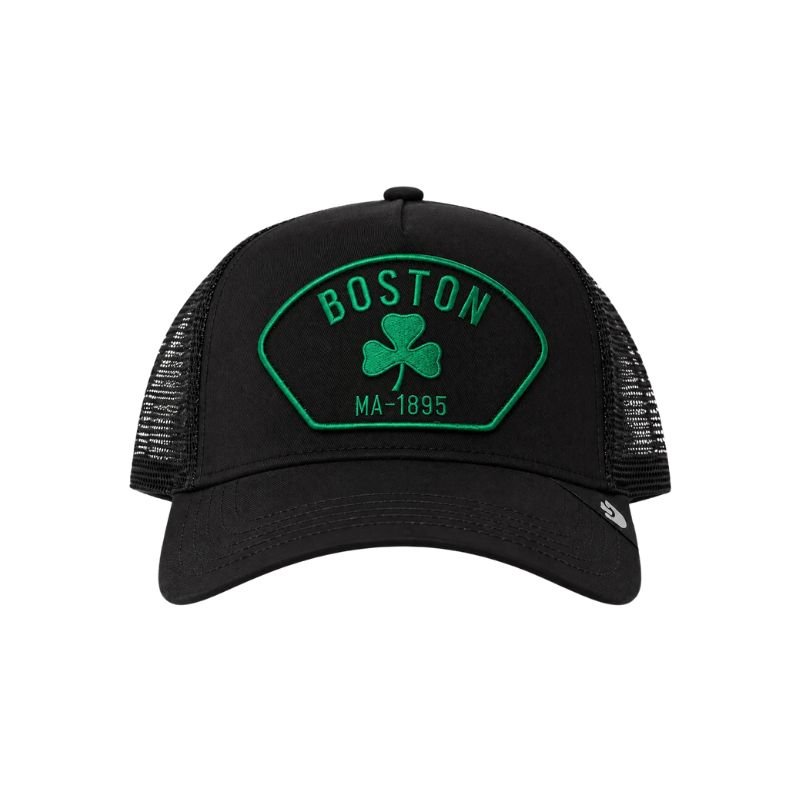Progetto senza titolo (10) Boston - immagine 1