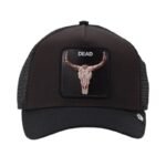 Dead Skull Trucker